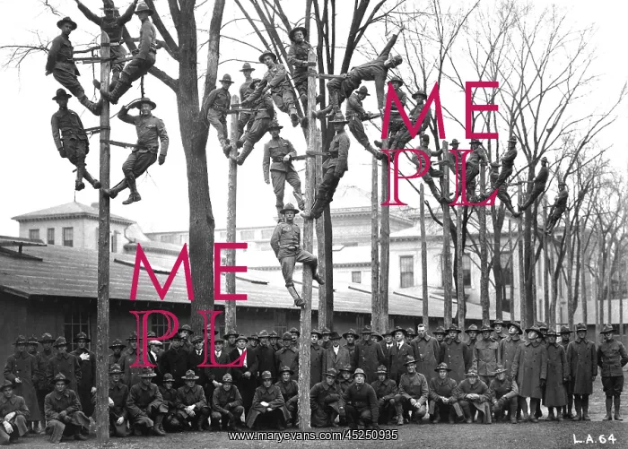 : Pole-Climbing training for Students Army Training : Pole-Climbing training for Students Army Training