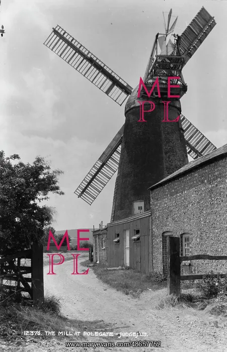 : The Mill at Polegate : The Mill at Polegate