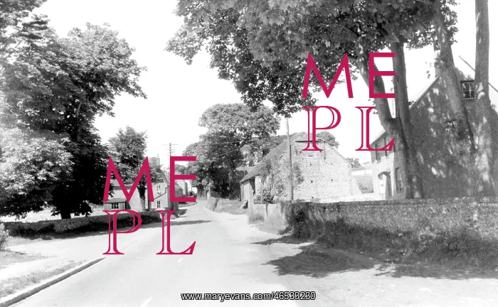  : Polegate, the road to Jevington c1955