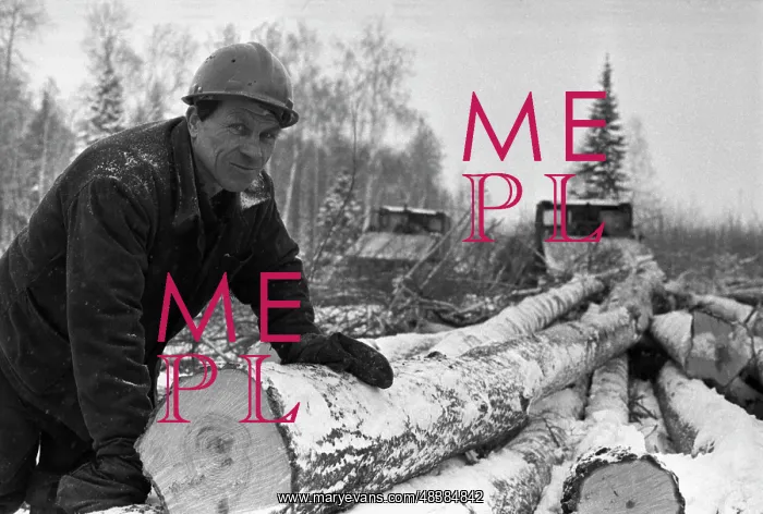 : Polevskles Wood Industry Association : Polevskles Wood Industry Association