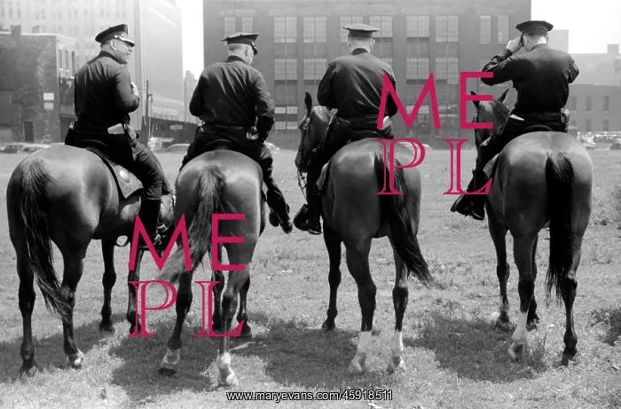 : Police - cops - occupations - horses - Chicago : Police - cops - occupations - horses - Chicago