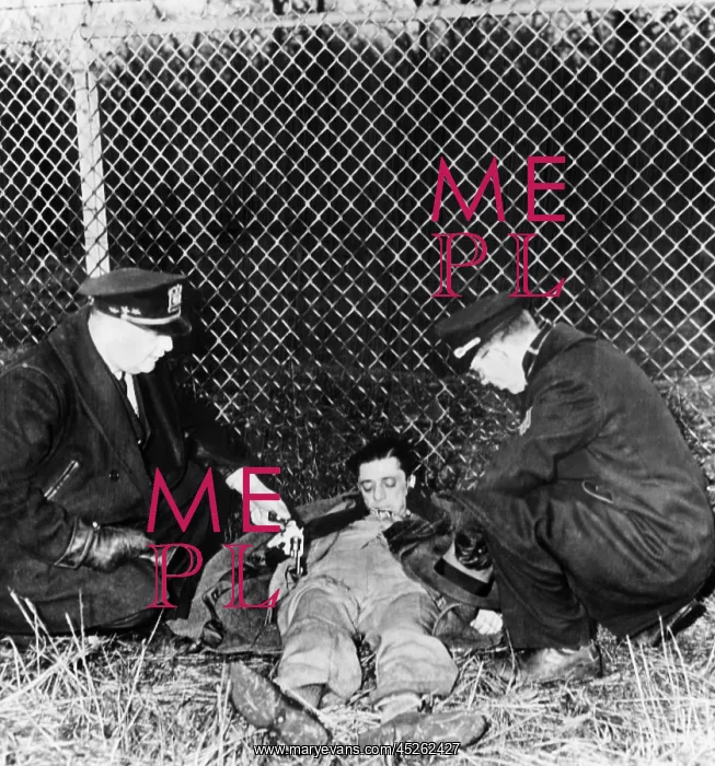 : Police next the to dead body of Frank The Enforcer : Police next the to dead body of Frank The Enforcer