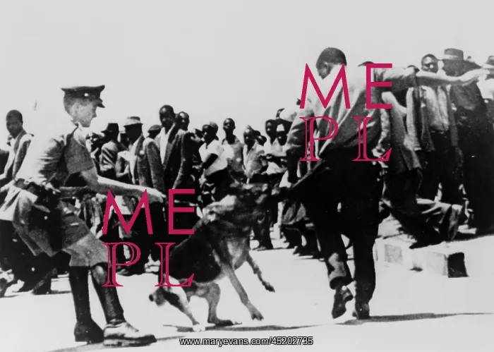 : Police dog attacking a Black Zimbabwean ? : Police dog attacking a Black Zimbabwean ?