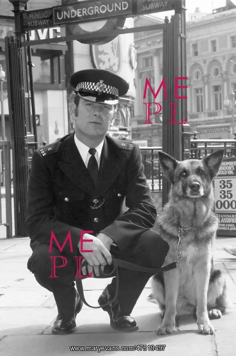  : Police dog handler