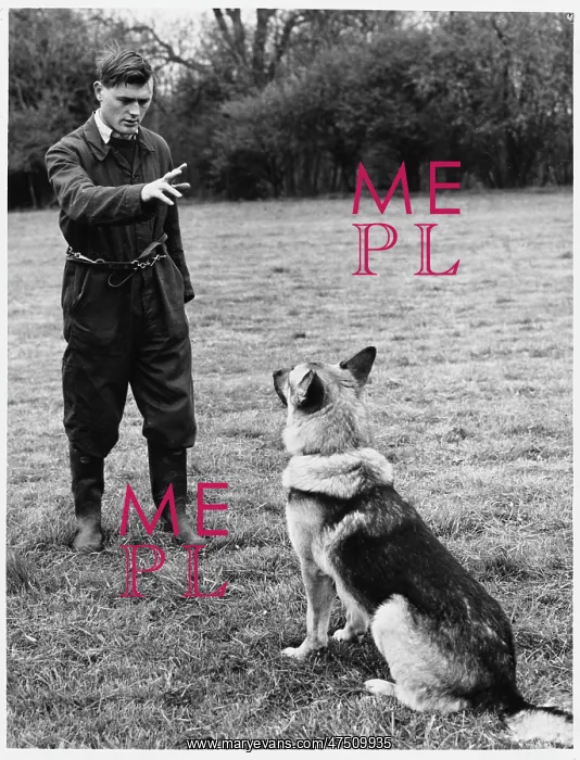 : POLICE DOG TRAINER : POLICE DOG TRAINER
