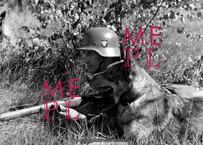 : Police fighting partisans on the Eastern Front, 1942 : Police fighting partisans on the Eastern Front, 1942