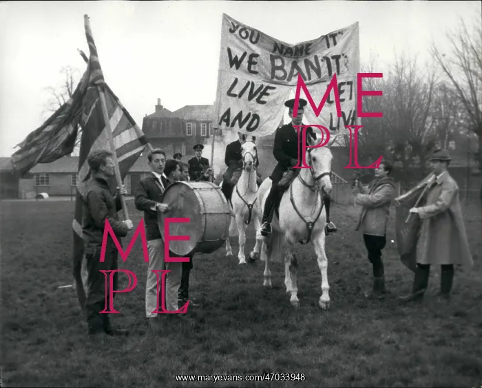 : Police horses in crowd control training, East Molesey, Surre : Police horses in crowd control training, East Molesey, Surre
