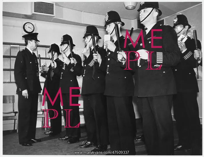 : POLICE INSPECTION : POLICE INSPECTION