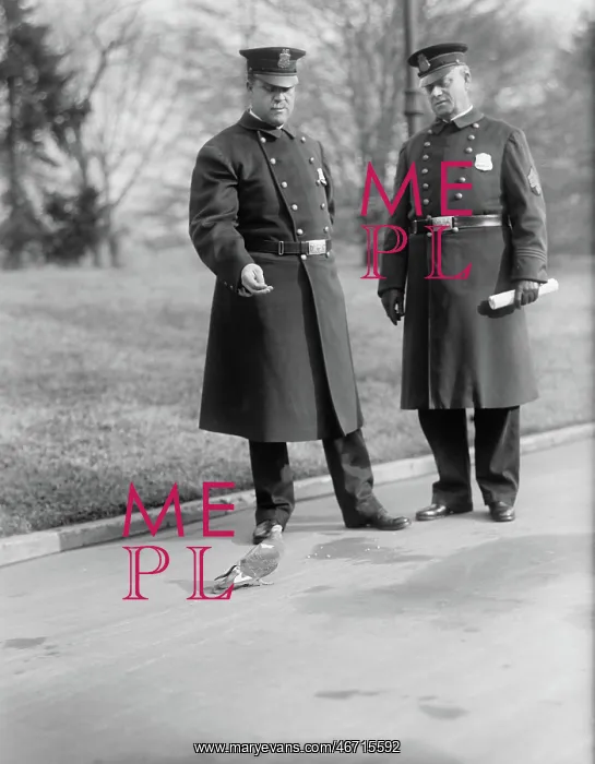 : Police - Men - Occupations - White House : Police - Men - Occupations - White House