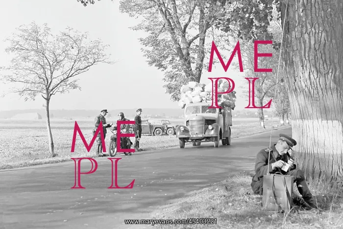 : Police officer - road check : Police officer - road check
