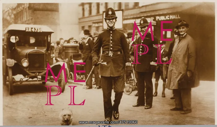 : POLICE OFFICER & STRAY : POLICE OFFICER & STRAY
