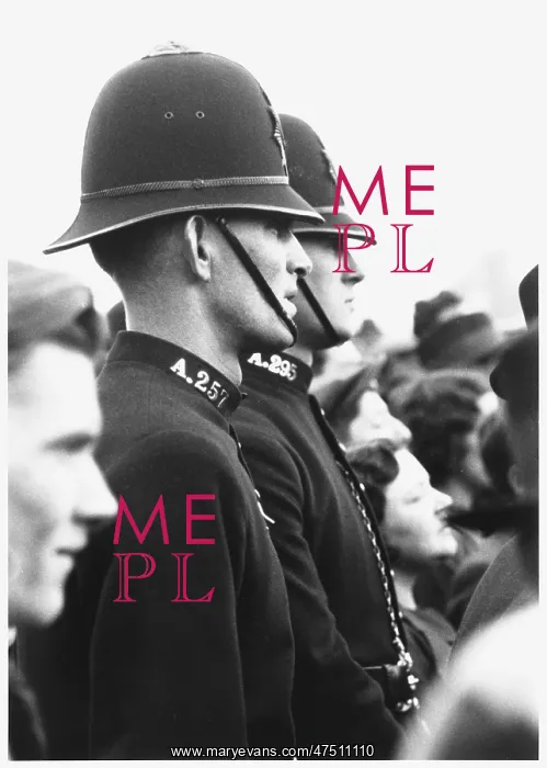 : POLICE PROFILE : POLICE PROFILE