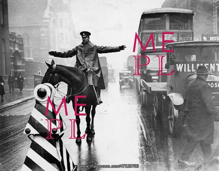 : POLICE / TRAFFIC DUTY / RAIN : POLICE / TRAFFIC DUTY / RAIN