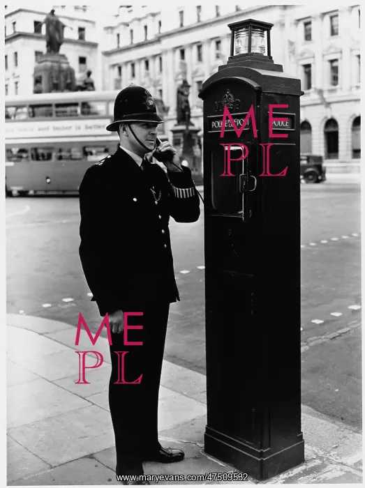 : POLICEMAN AND CALL BOX : POLICEMAN AND CALL BOX