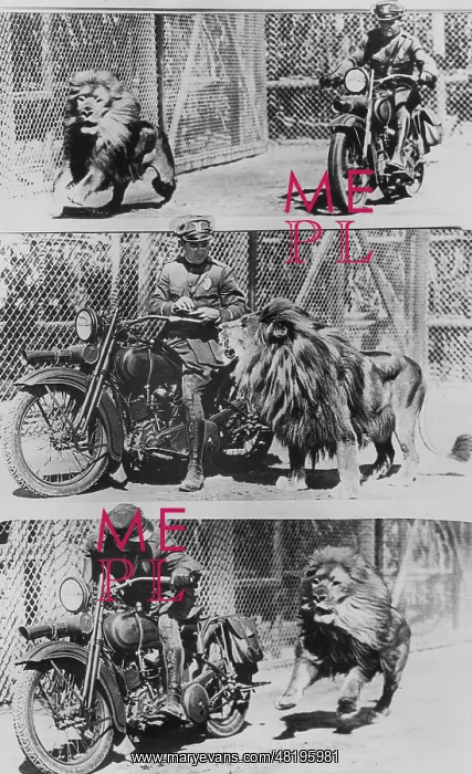 : Policeman and lion, 1926 : Policeman and lion, 1926