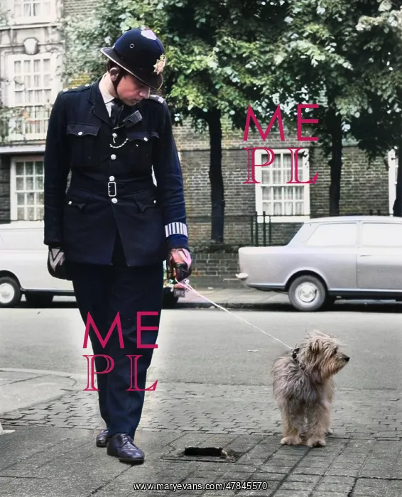  : Policeman in a street with a lost dog