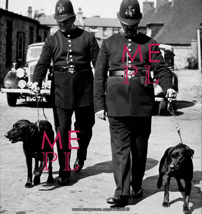  : Two policemen with dogs