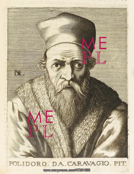 : POLIDORO CALDARA : POLIDORO CALDARA