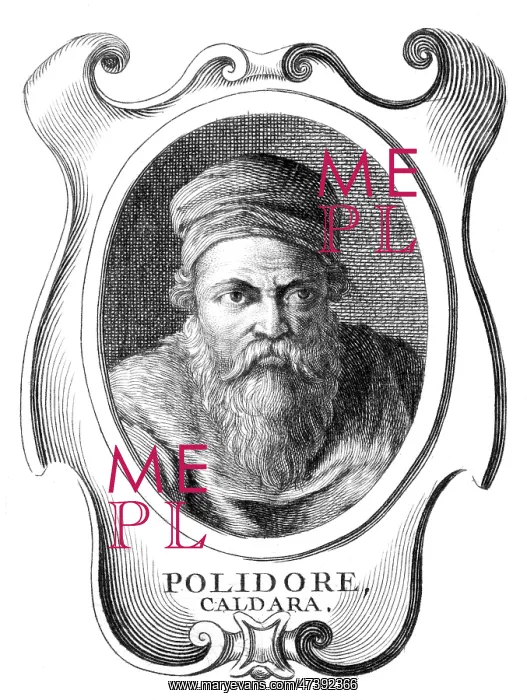 : POLIDORO CALDARA : POLIDORO CALDARA