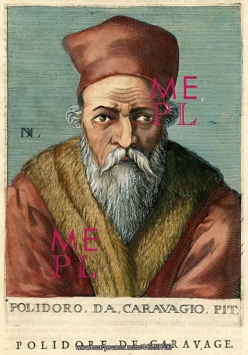  : Polidoro Caravagio