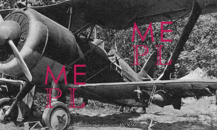 : Polikarpov I-15bis, 1942 : Polikarpov I-15bis, 1942