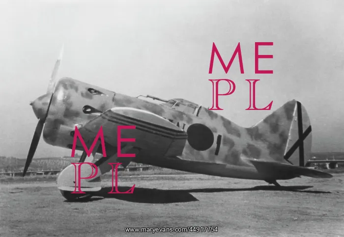 : Polikarpov I-16 Rata : Polikarpov I-16 Rata