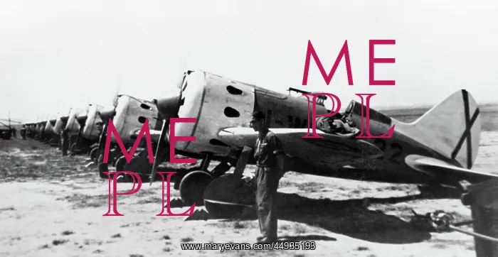 : Polikarpov I-16 Rata : Polikarpov I-16 Rata