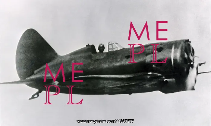 : Polikarpov I-16 Rata : Polikarpov I-16 Rata