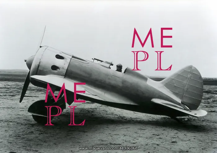 : Polikarpov I-16 Rata : Polikarpov I-16 Rata