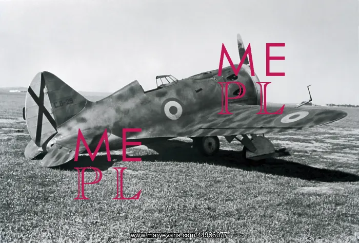 : Polikarpov I-16 Rata : Polikarpov I-16 Rata