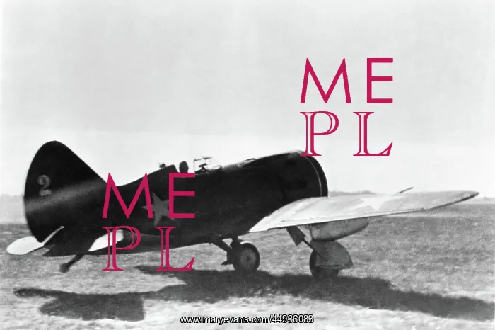 : Polikarpov I-16 Rata : Polikarpov I-16 Rata