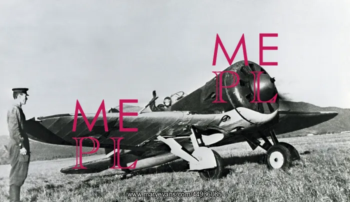 : Polikarpov I-16 Rata : Polikarpov I-16 Rata