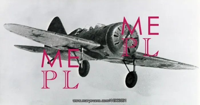 : Polikarpov I-16 Rata : Polikarpov I-16 Rata