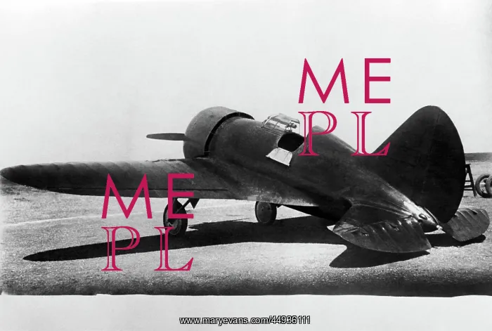 : Polikarpov I-16 Rata : Polikarpov I-16 Rata