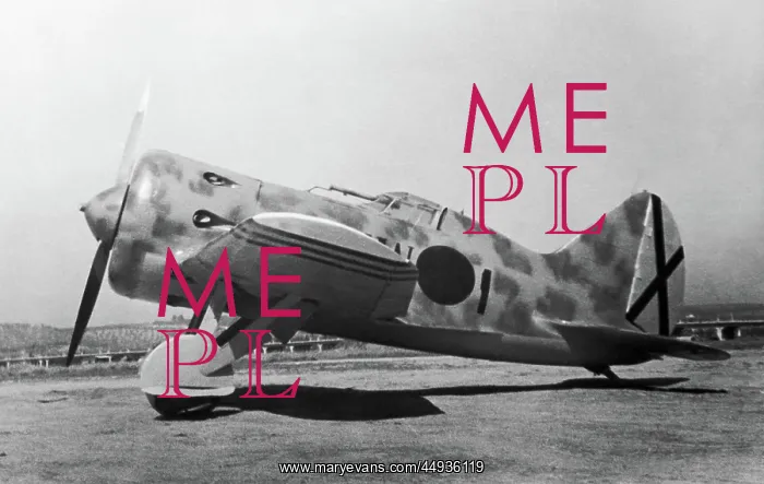 : Polikarpov I-16 Rata : Polikarpov I-16 Rata