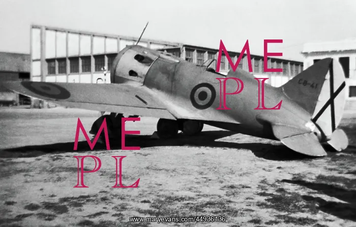 : Polikarpov I-16 Rata : Polikarpov I-16 Rata