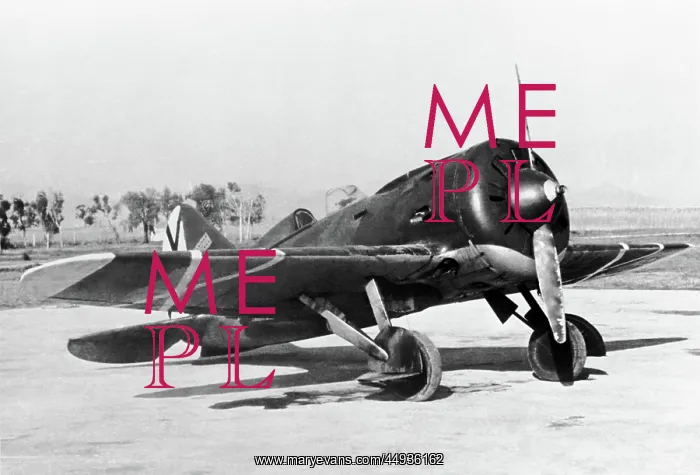  : Polikarpov I-16 Rata