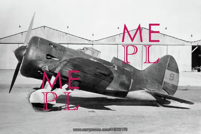 : Polikarpov I-16 Rata : Polikarpov I-16 Rata