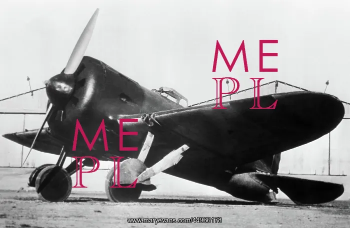 : Polikarpov I-16 Rata : Polikarpov I-16 Rata