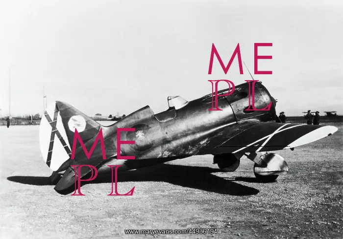 : Polikarpov I-16 Rata : Polikarpov I-16 Rata
