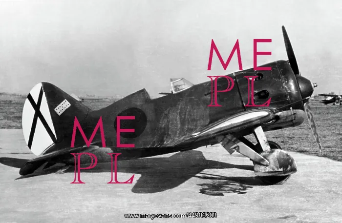 : Polikarpov I-16 Rata : Polikarpov I-16 Rata