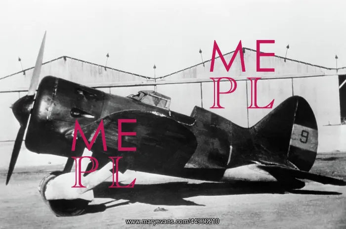 : Polikarpov I-16 Rata : Polikarpov I-16 Rata