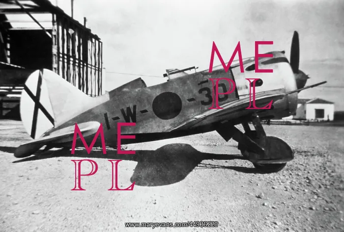 : Polikarpov I-16 Rata : Polikarpov I-16 Rata