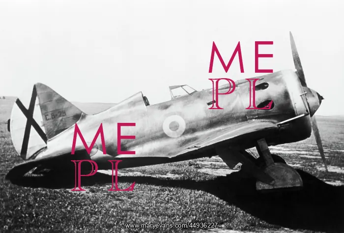 : Polikarpov I-16 Rata : Polikarpov I-16 Rata