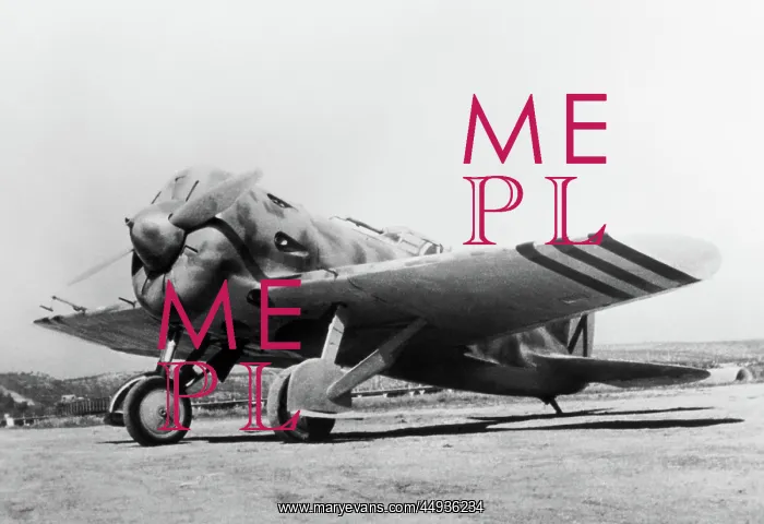 : Polikarpov I-16 Rata : Polikarpov I-16 Rata