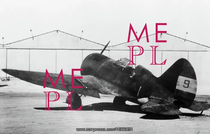 : Polikarpov I-16 Rata : Polikarpov I-16 Rata