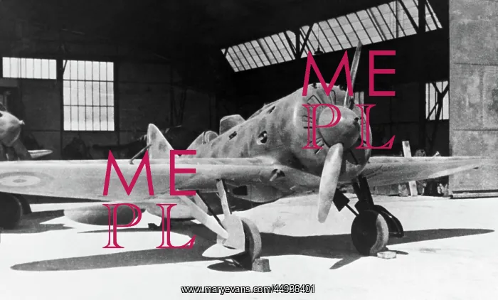 : Polikarpov I-16 Rata : Polikarpov I-16 Rata