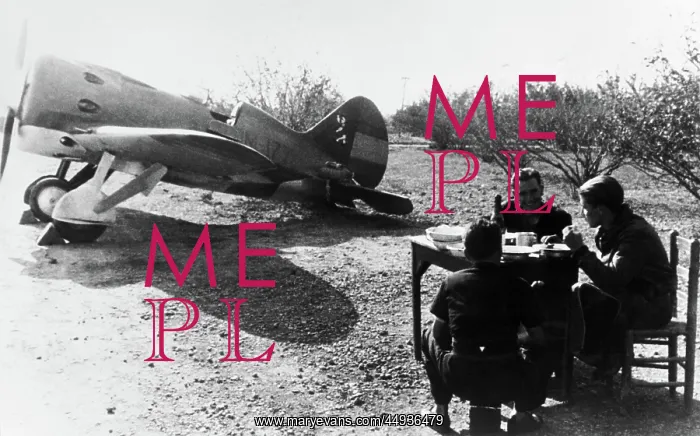 : Polikarpov I-16 Rata : Polikarpov I-16 Rata