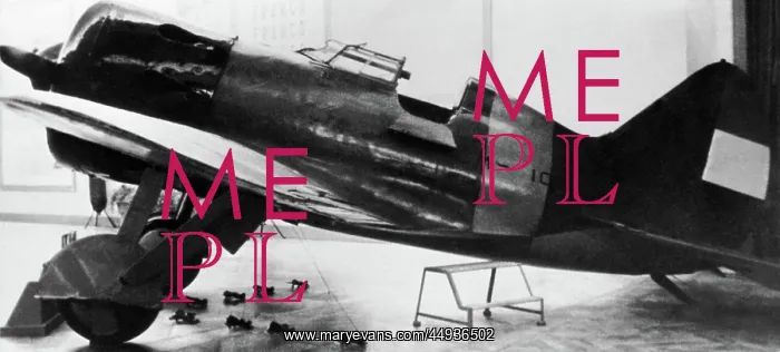 : Polikarpov I-16 Rata : Polikarpov I-16 Rata