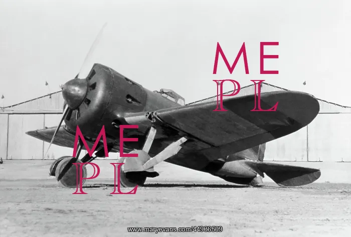 : Polikarpov I-16 Rata : Polikarpov I-16 Rata